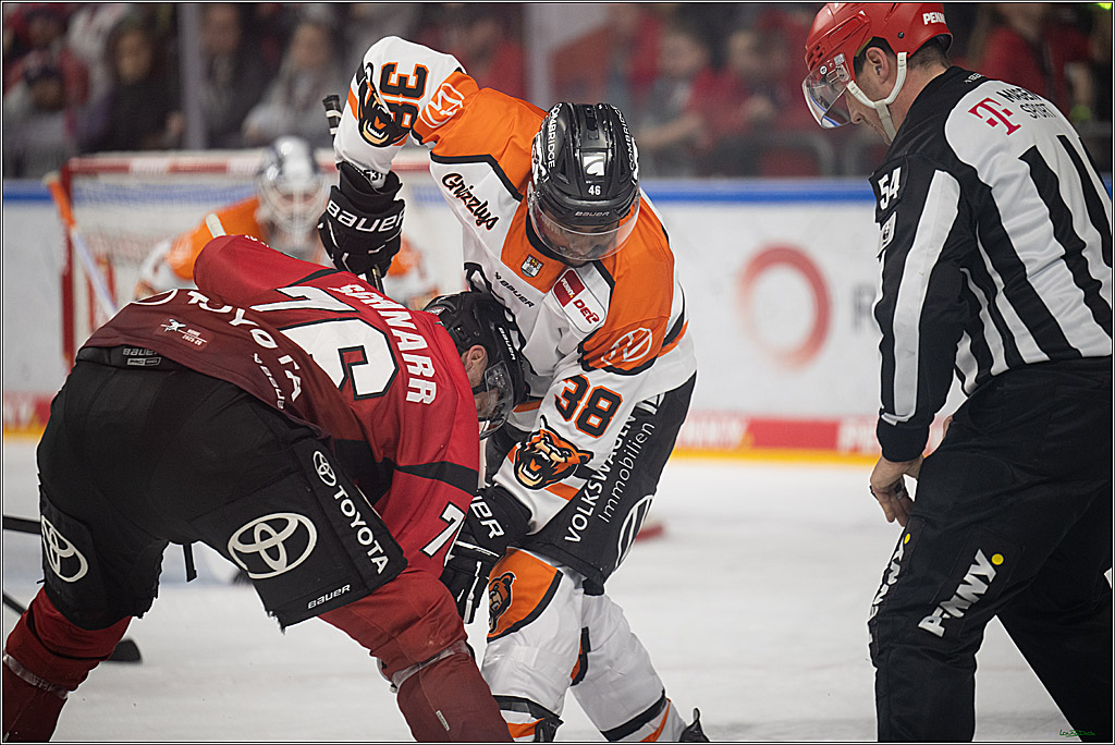 PENNY DEL; Kölner Haie-Grizzlys Wolfsburg; Köln, 18.12.2025