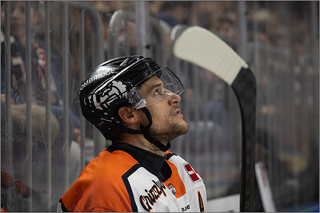 PENNY DEL; Kölner Haie-Grizzlys Wolfsburg; Köln, 18.12.2025