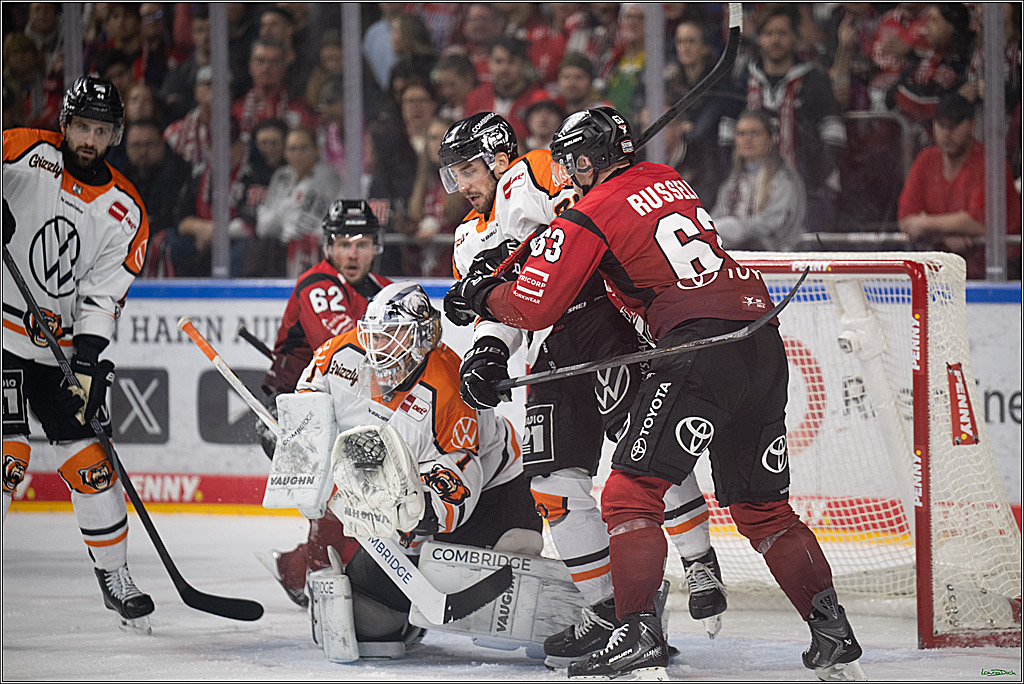 PENNY DEL; Kölner Haie-Grizzlys Wolfsburg; Köln, 18.12.2025