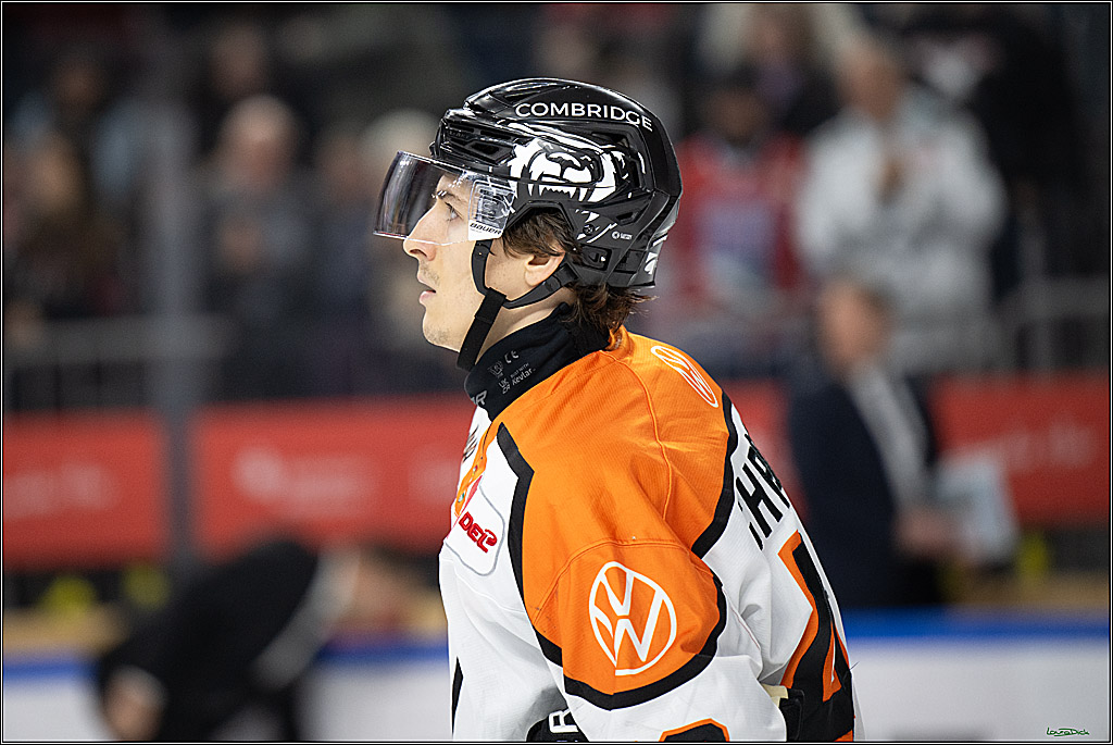 PENNY DEL; Kölner Haie-Grizzlys Wolfsburg; Köln, 18.12.2025