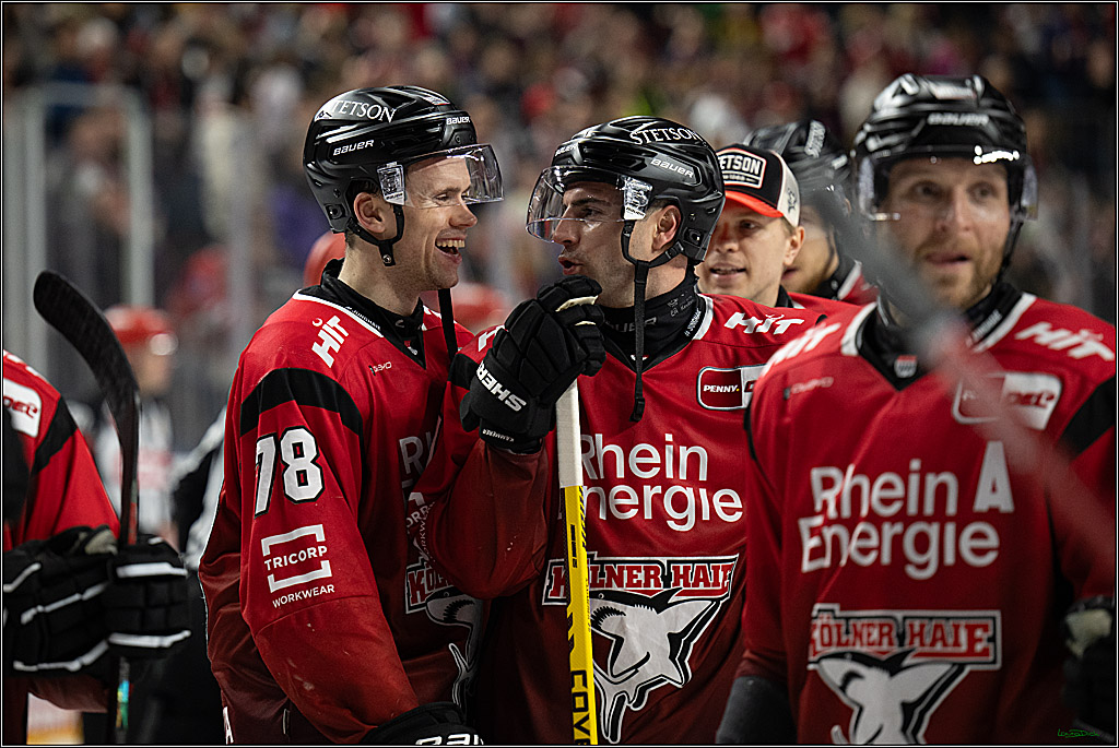 PENNY DEL; Kölner Haie-Grizzlys Wolfsburg; Köln, 18.12.2025