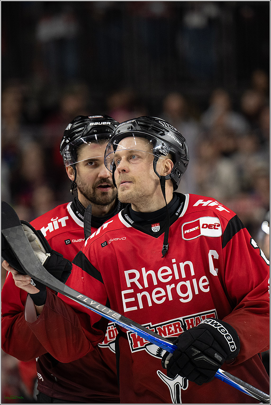 PENNY DEL; Kölner Haie-Grizzlys Wolfsburg; Köln, 18.12.2025