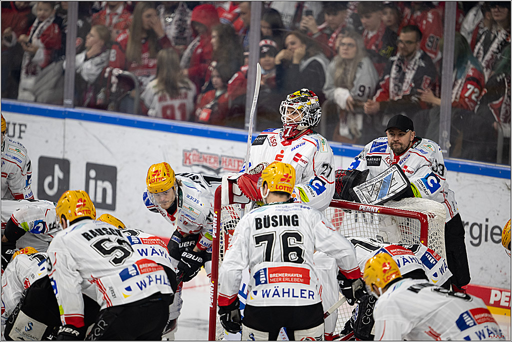 PENNY DEL: Kölner Haie - Fischtown Pinguins Bremerhaven; Köln, 26.12.2025