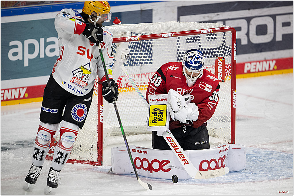PENNY DEL: Kölner Haie - Fischtown Pinguins Bremerhaven; Köln, 26.12.2025