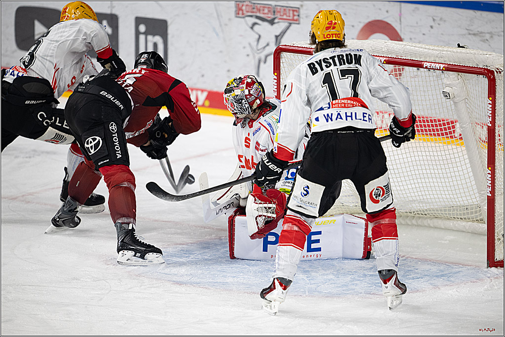PENNY DEL: Kölner Haie - Fischtown Pinguins Bremerhaven; Köln, 26.12.2025
