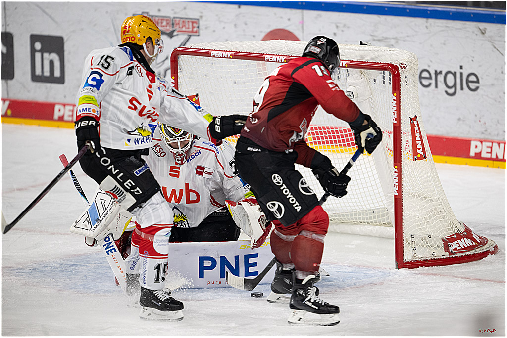 PENNY DEL: Kölner Haie - Fischtown Pinguins Bremerhaven; Köln, 26.12.2025