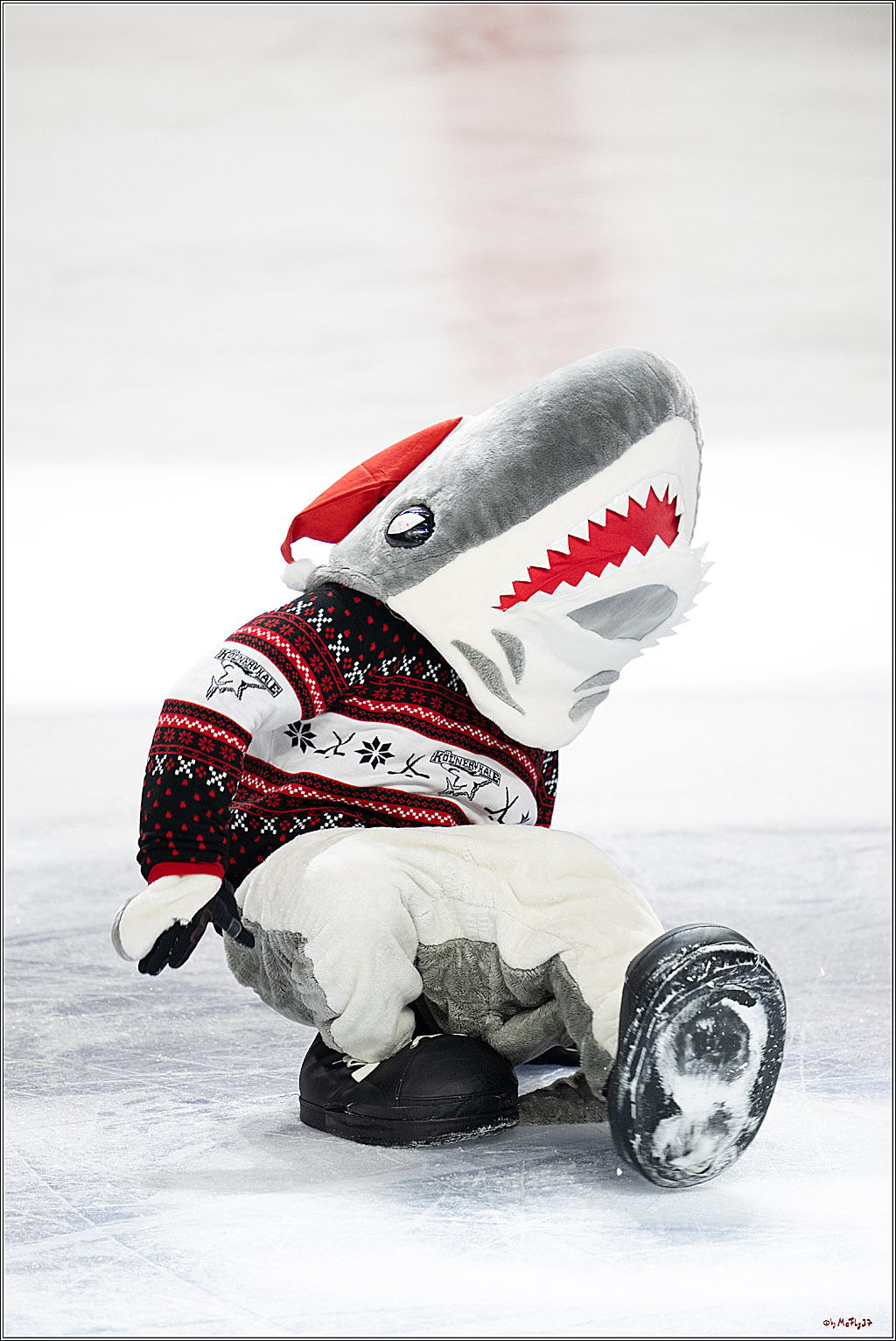 PENNY DEL: Kölner Haie - Fischtown Pinguins Bremerhaven; Köln, 26.12.2025