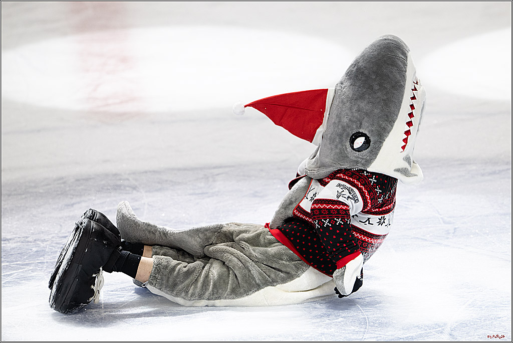 PENNY DEL: Kölner Haie - Fischtown Pinguins Bremerhaven; Köln, 26.12.2025