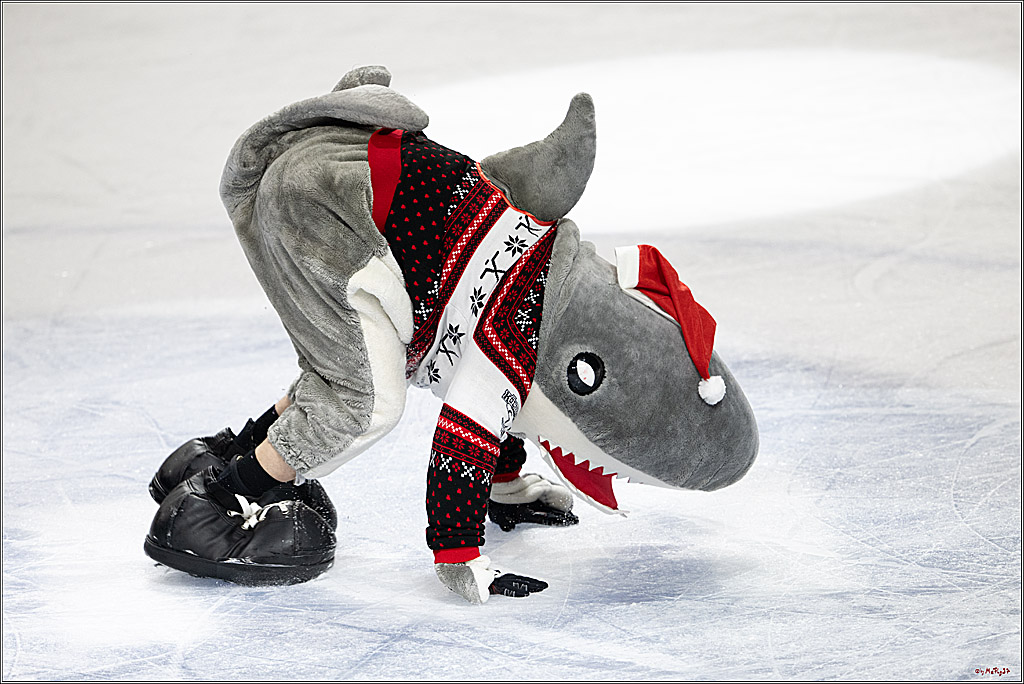 PENNY DEL: Kölner Haie - Fischtown Pinguins Bremerhaven; Köln, 26.12.2025