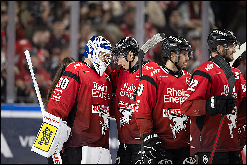 PENNY DEL: Kölner Haie - Fischtown Pinguins Bremerhaven; Köln, 26.12.2025