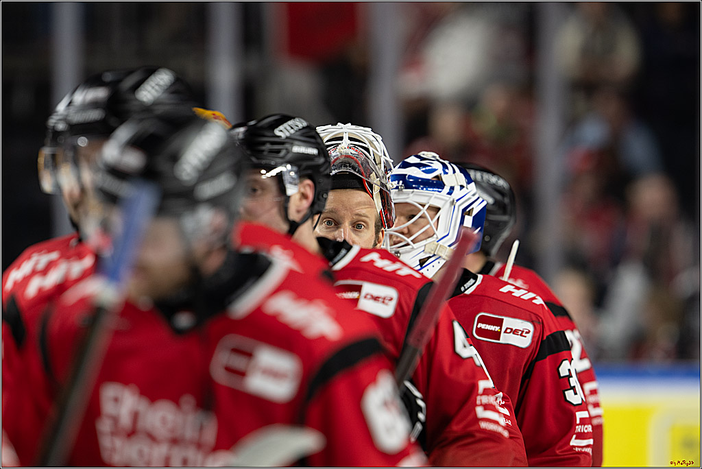 PENNY DEL: Kölner Haie - Fischtown Pinguins Bremerhaven; Köln, 26.12.2025