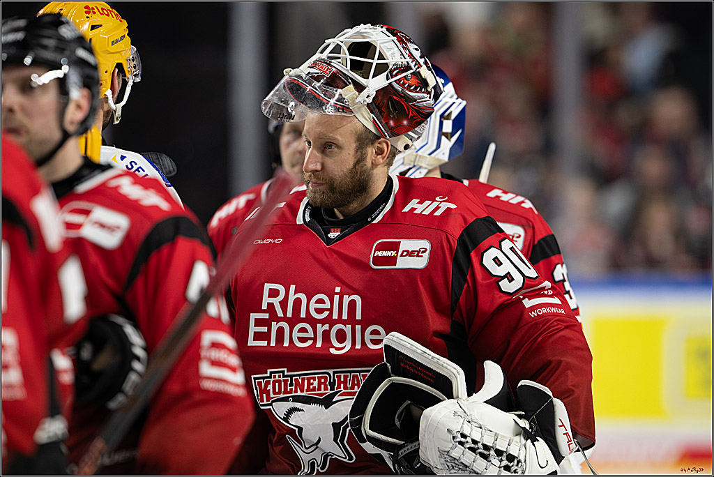 PENNY DEL: Kölner Haie - Fischtown Pinguins Bremerhaven; Köln, 26.12.2025