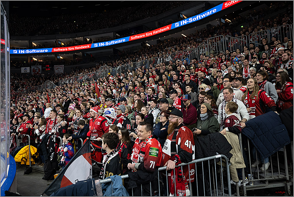 PENNY DEL: Kölner Haie - Fischtown Pinguins Bremerhaven; Köln, 26.12.2025