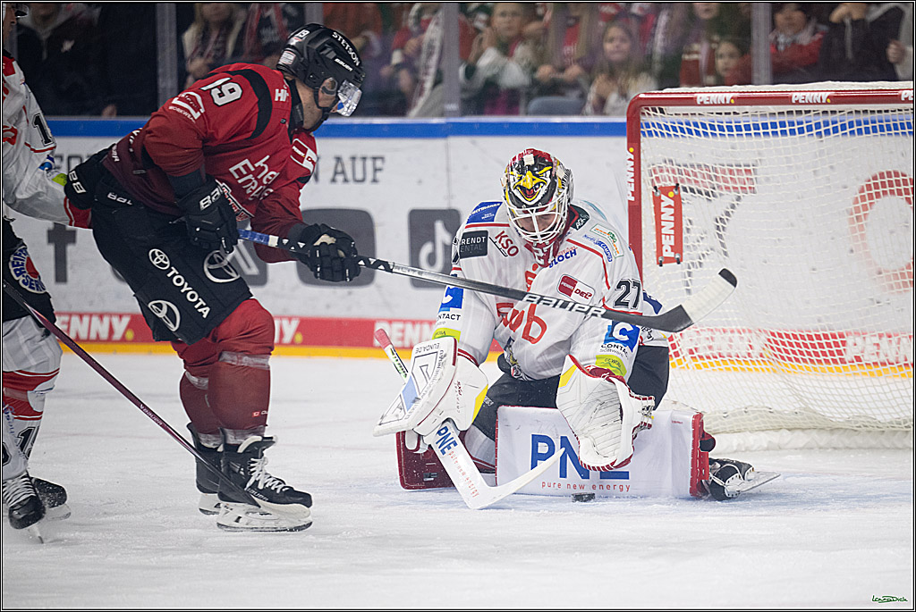 DEL: Kölner Haie - Fischtown Pinguins Bremerhaven; Köln, 26.12.2025