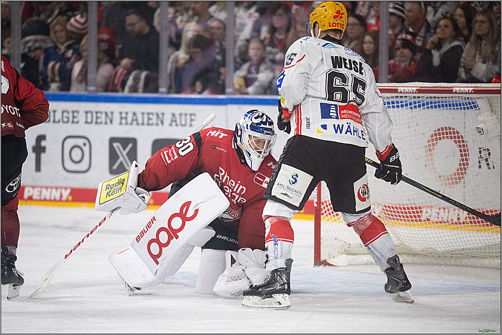 DEL: Kölner Haie - Fischtown Pinguins Bremerhaven; Köln, 26.12.2025
