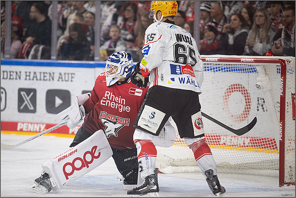 DEL: Kölner Haie - Fischtown Pinguins Bremerhaven; Köln, 26.12.2025