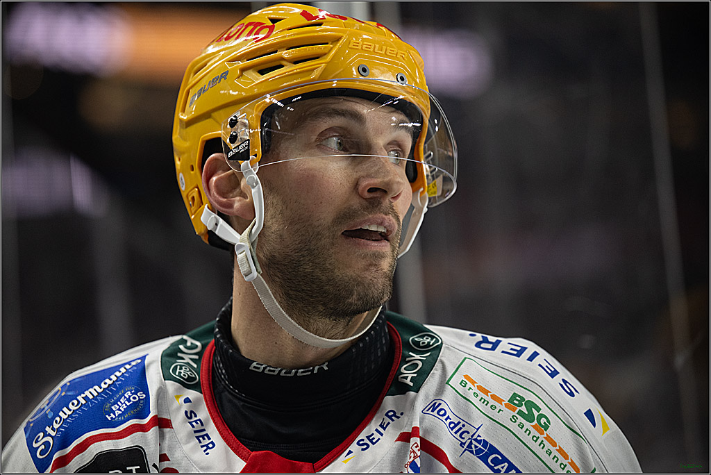 DEL: Kölner Haie - Fischtown Pinguins Bremerhaven; Köln, 26.12.2025