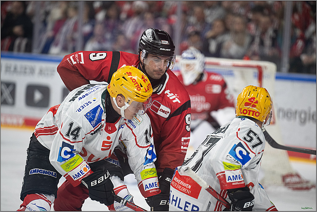 DEL: Kölner Haie - Fischtown Pinguins Bremerhaven; Köln, 26.12.2025
