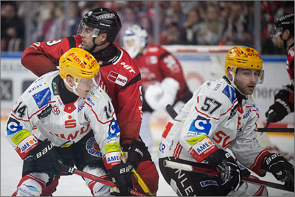 DEL: Kölner Haie - Fischtown Pinguins Bremerhaven; Köln, 26.12.2025