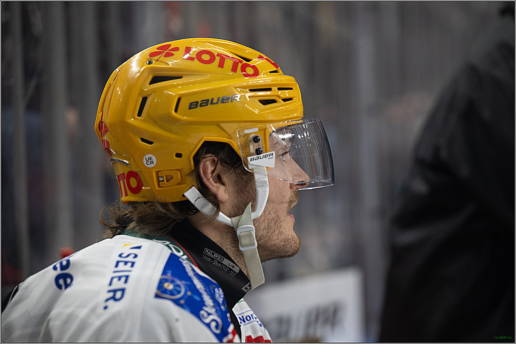 DEL: Kölner Haie - Fischtown Pinguins Bremerhaven; Köln, 26.12.2025