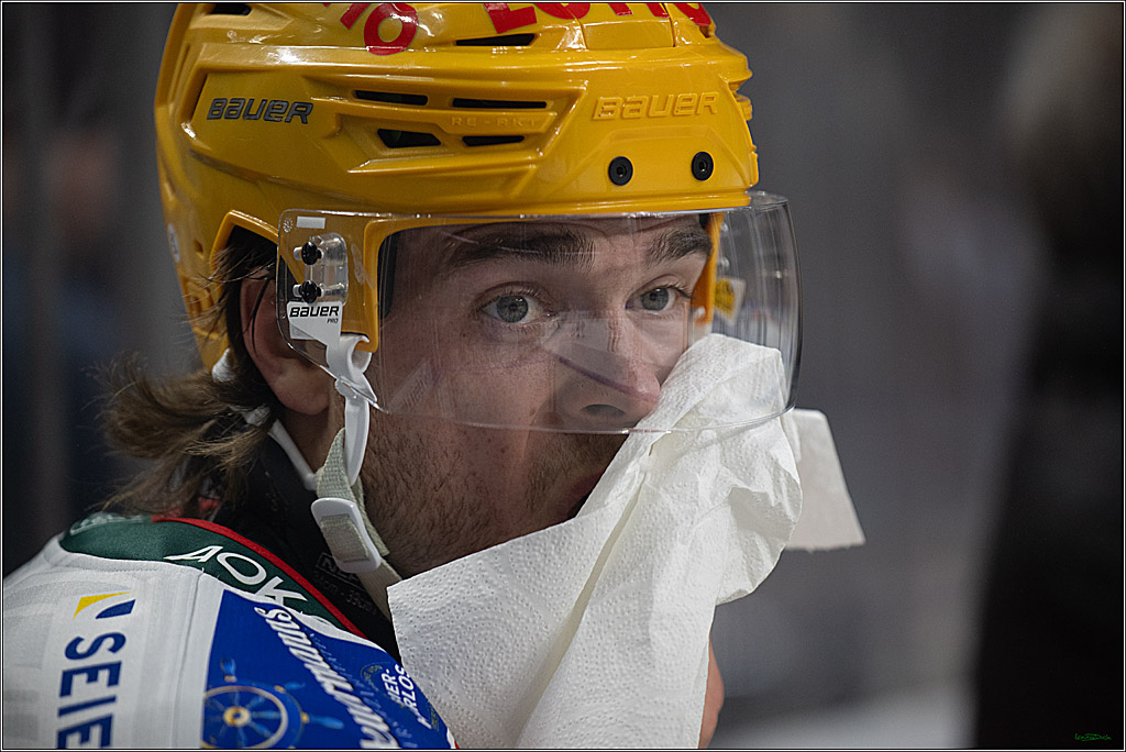 DEL: Kölner Haie - Fischtown Pinguins Bremerhaven; Köln, 26.12.2025