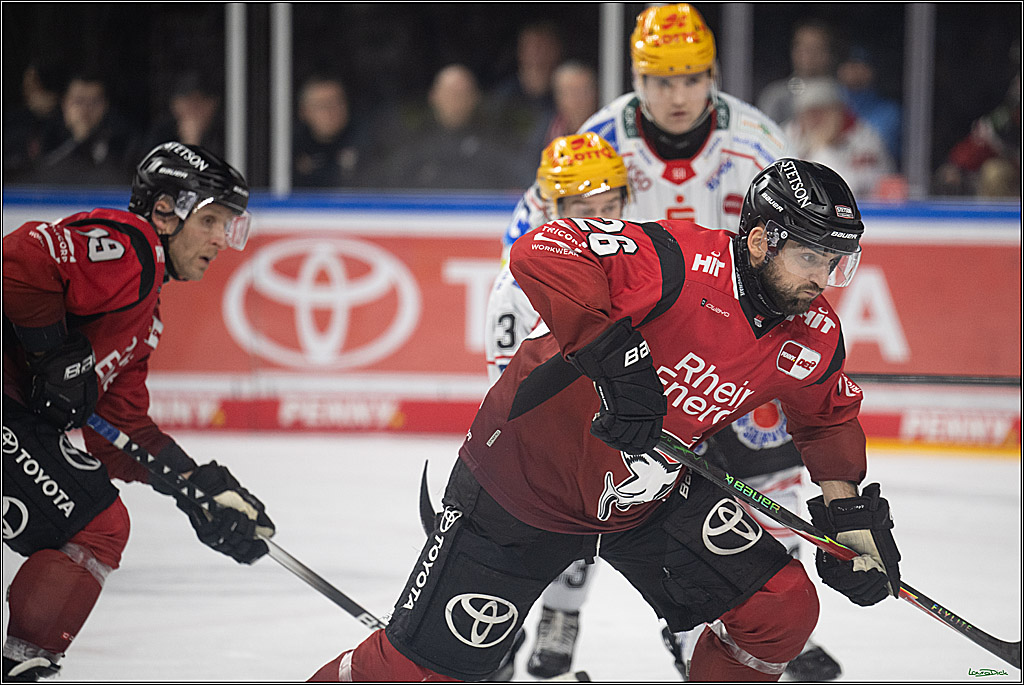 DEL: Kölner Haie - Fischtown Pinguins Bremerhaven; Köln, 26.12.2025