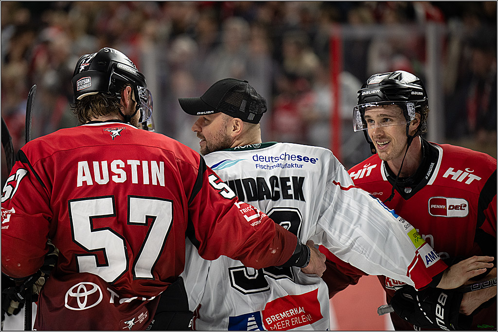 DEL: Kölner Haie - Fischtown Pinguins Bremerhaven; Köln, 26.12.2025