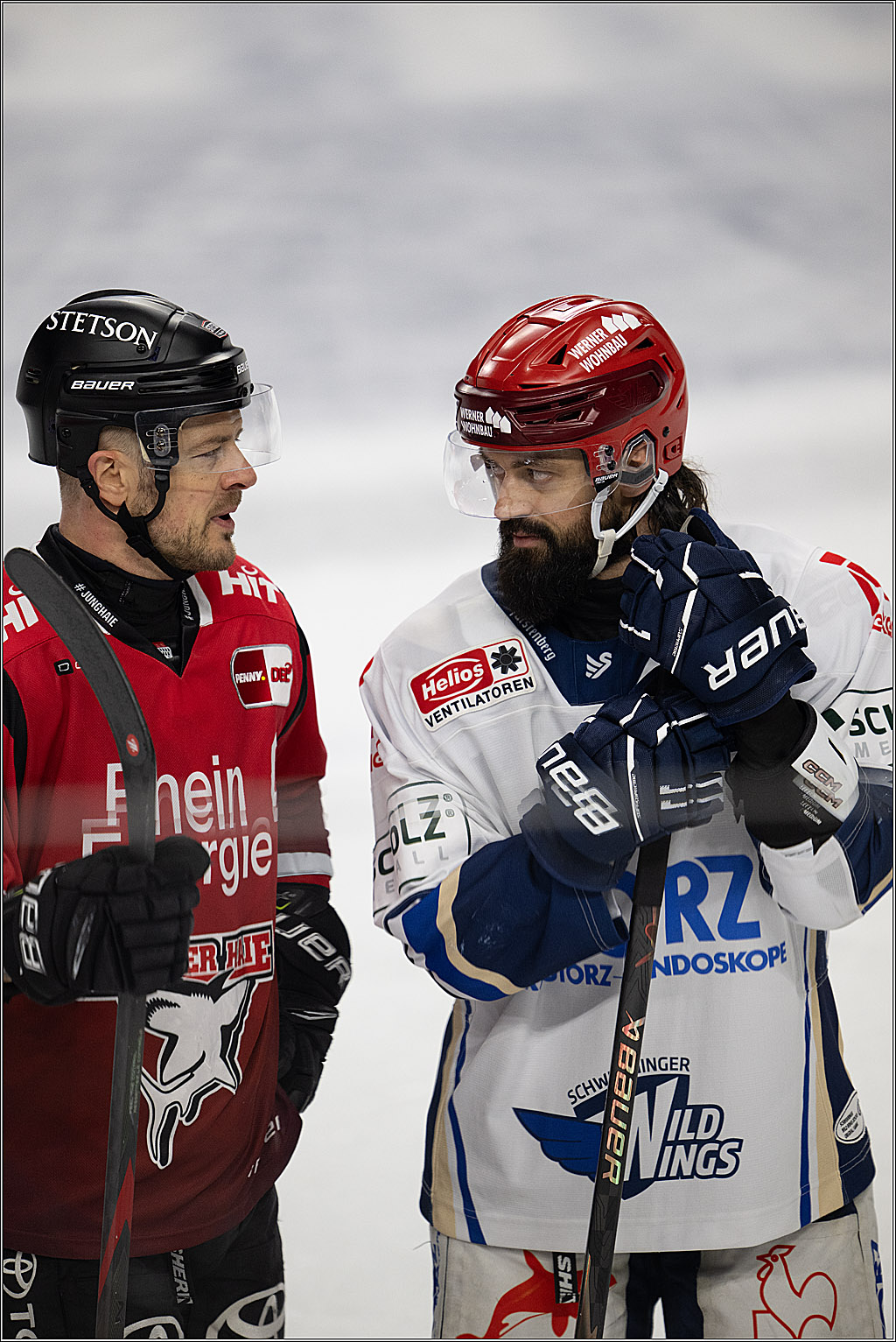 PENNY DEL: Kölner Haie - Schwenninger Wild Wings; Köln, 28.12.2025