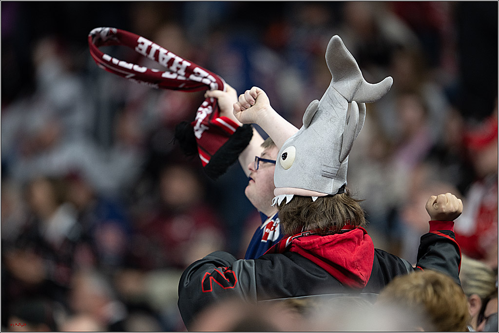 PENNY DEL: Kölner Haie - Schwenninger Wild Wings; Köln, 28.12.2025