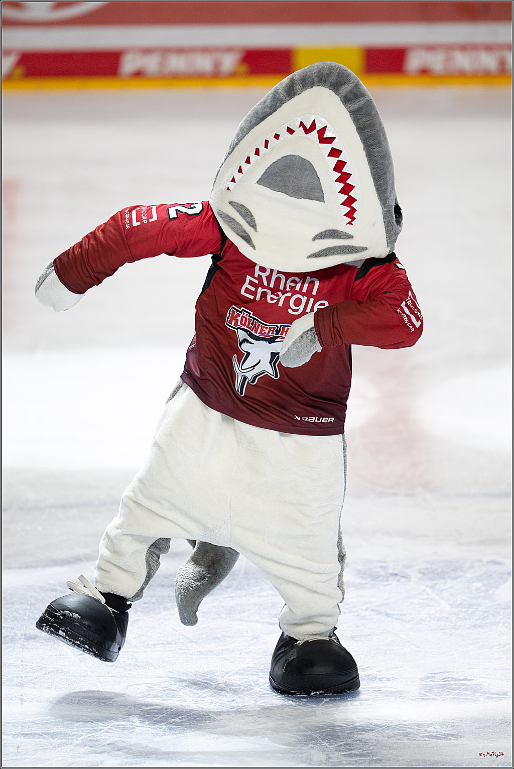 PENNY DEL: Kölner Haie - Schwenninger Wild Wings; Köln, 28.12.2025