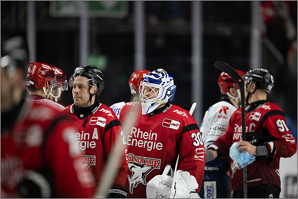 PENNY DEL: Kölner Haie - Schwenninger Wild Wings; Köln, 28.12.2025