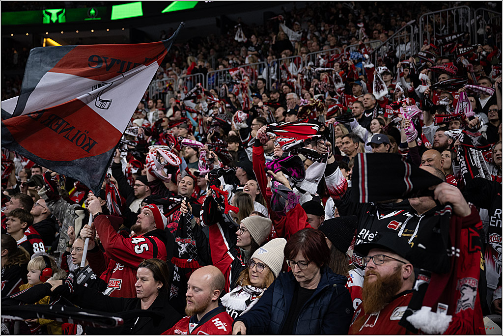PENNY DEL: Kölner Haie - Schwenninger Wild Wings; Köln, 28.12.2025