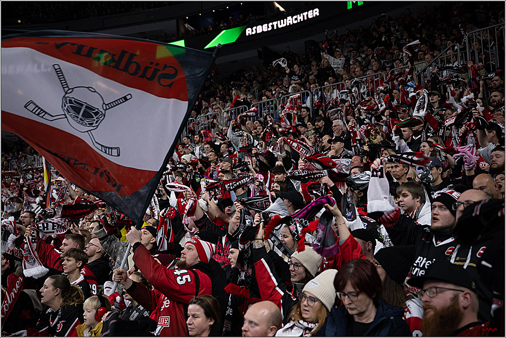 PENNY DEL: Kölner Haie - Schwenninger Wild Wings; Köln, 28.12.2025