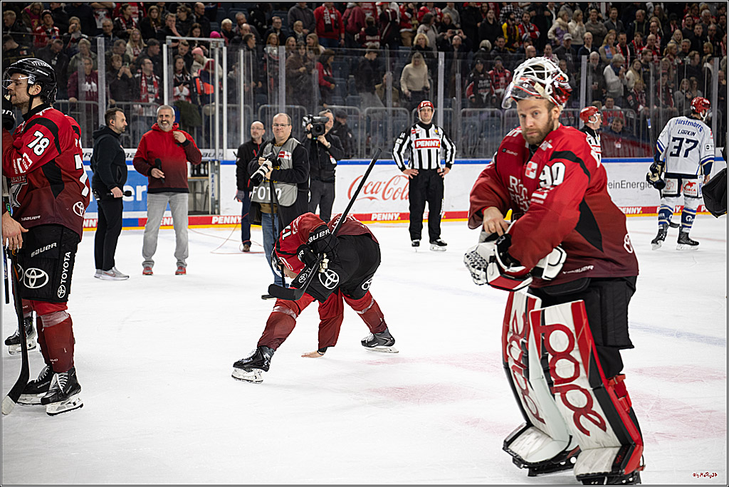 PENNY DEL: Kölner Haie - Schwenninger Wild Wings; Köln, 28.12.2025