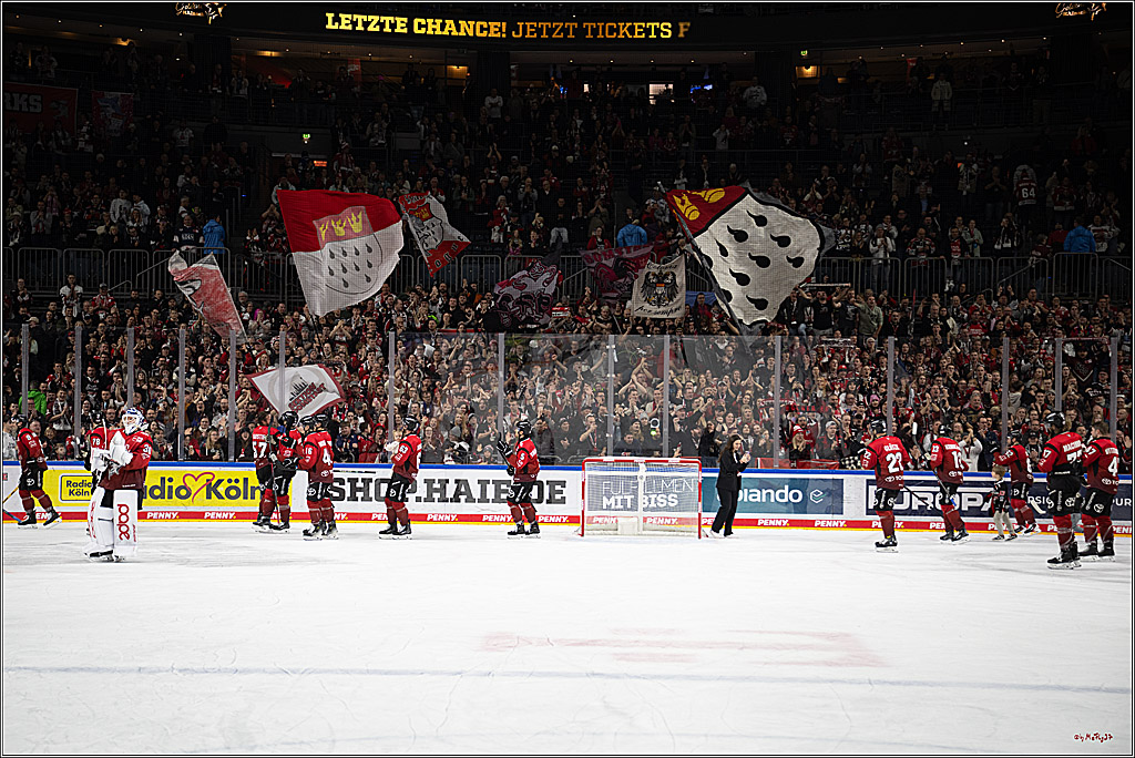 PENNY DEL: Kölner Haie - Schwenninger Wild Wings; Köln, 28.12.2025