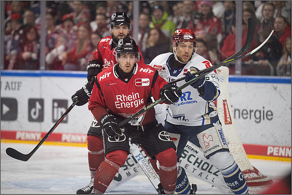 PENNY DEL: Kölner Haie - Schwenninger Wild Wings; Köln, 28.12.2025