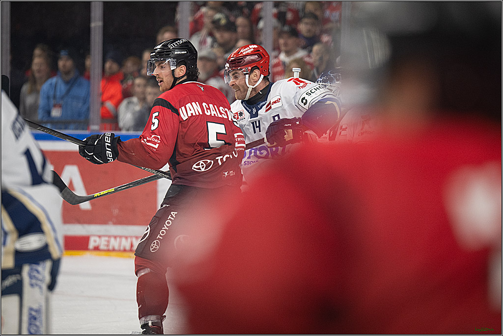 PENNY DEL: Kölner Haie - Schwenninger Wild Wings; Köln, 28.12.2025