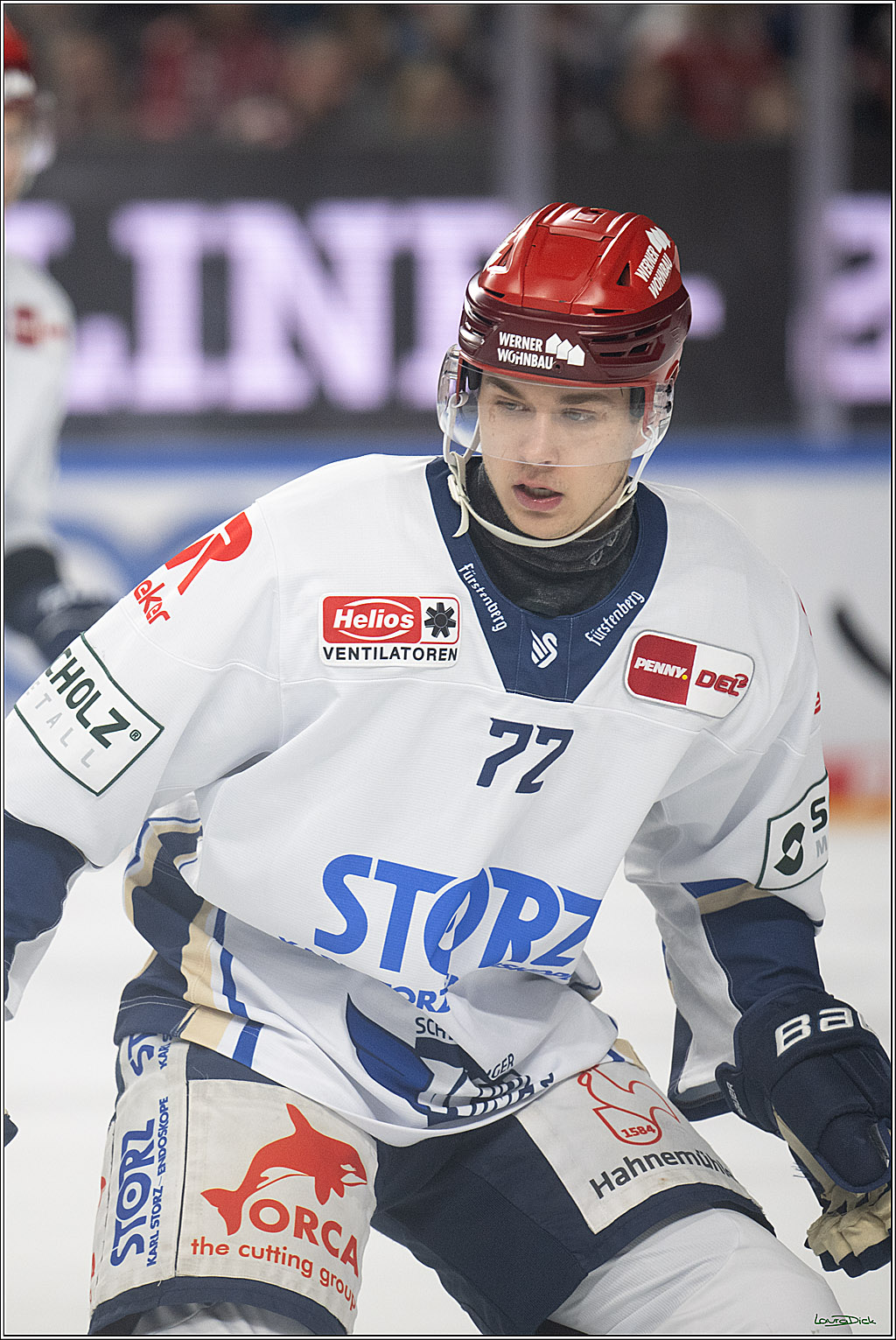 PENNY DEL: Kölner Haie - Schwenninger Wild Wings; Köln, 28.12.2025