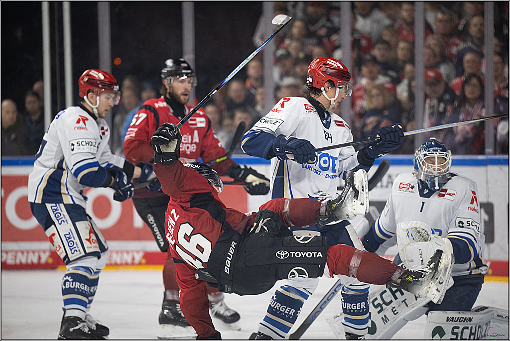 PENNY DEL: Kölner Haie - Schwenninger Wild Wings; Köln, 28.12.2025