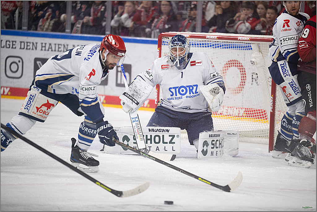 PENNY DEL: Kölner Haie - Schwenninger Wild Wings; Köln, 28.12.2025