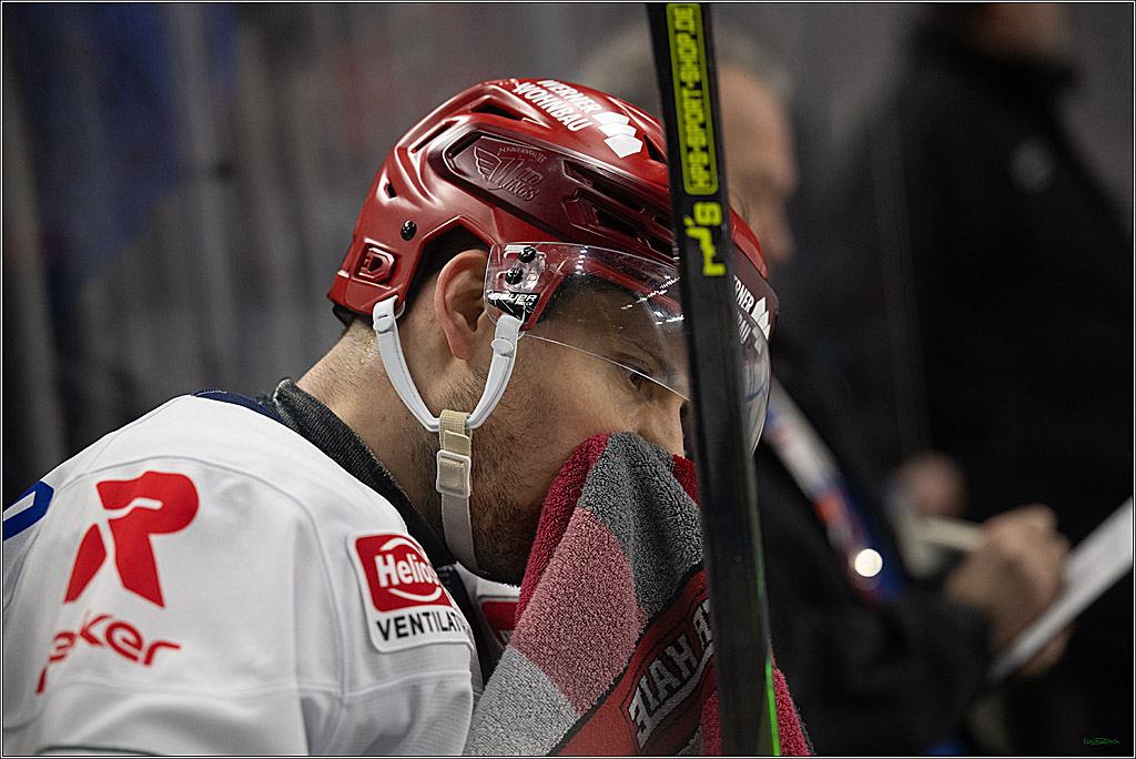 PENNY DEL: Kölner Haie - Schwenninger Wild Wings; Köln, 28.12.2025