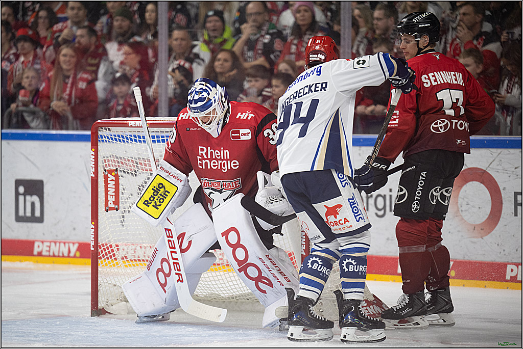 PENNY DEL: Kölner Haie - Schwenninger Wild Wings; Köln, 28.12.2025