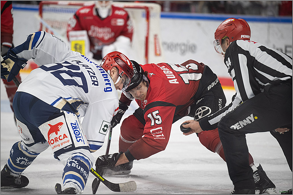 PENNY DEL: Kölner Haie - Schwenninger Wild Wings; Köln, 28.12.2025