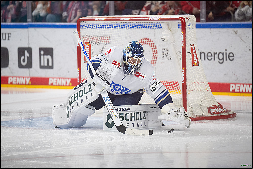 PENNY DEL: Kölner Haie - Schwenninger Wild Wings; Köln, 28.12.2025