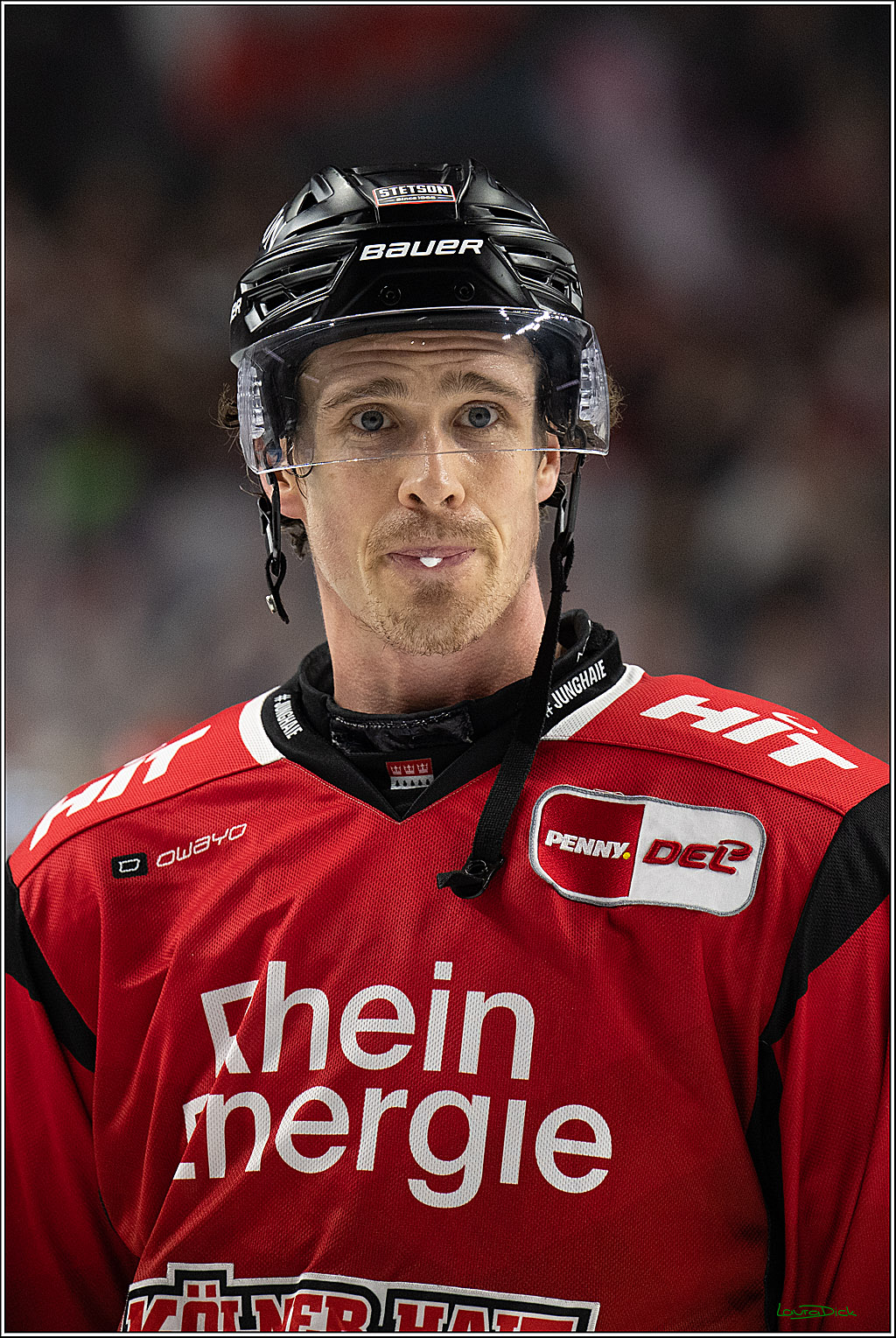 PENNY DEL: Kölner Haie - Schwenninger Wild Wings; Köln, 28.12.2025