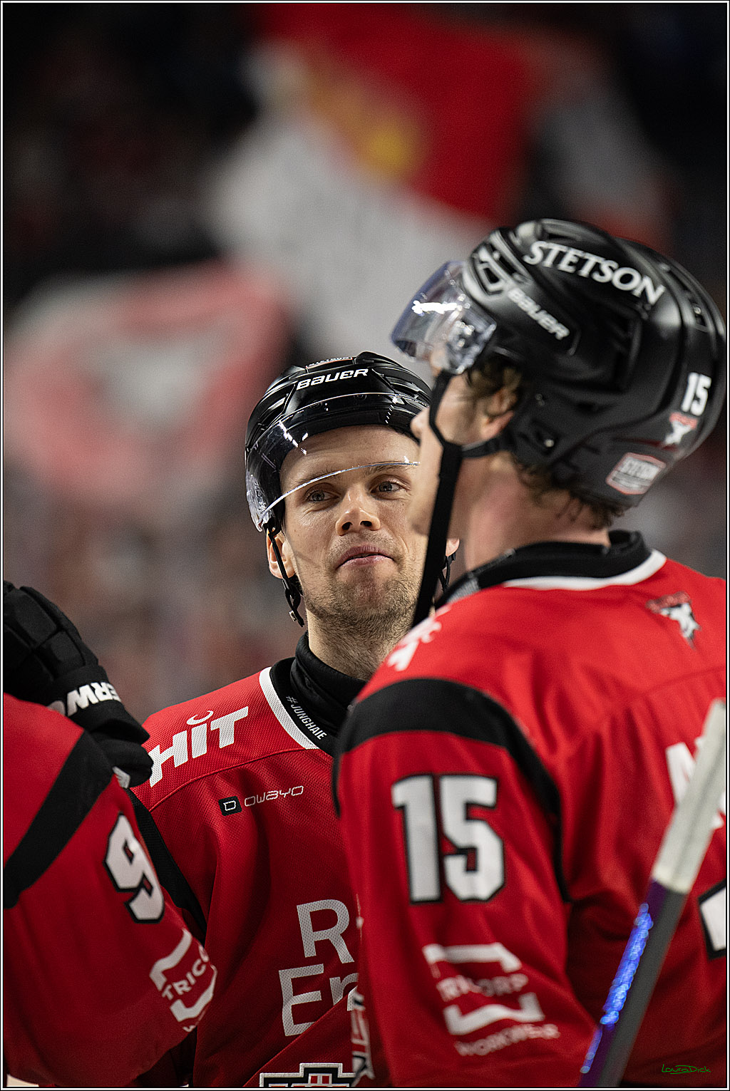 PENNY DEL: Kölner Haie - Schwenninger Wild Wings; Köln, 28.12.2025