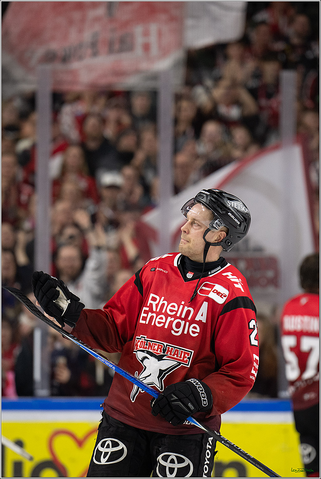 PENNY DEL: Kölner Haie - Schwenninger Wild Wings; Köln, 28.12.2025