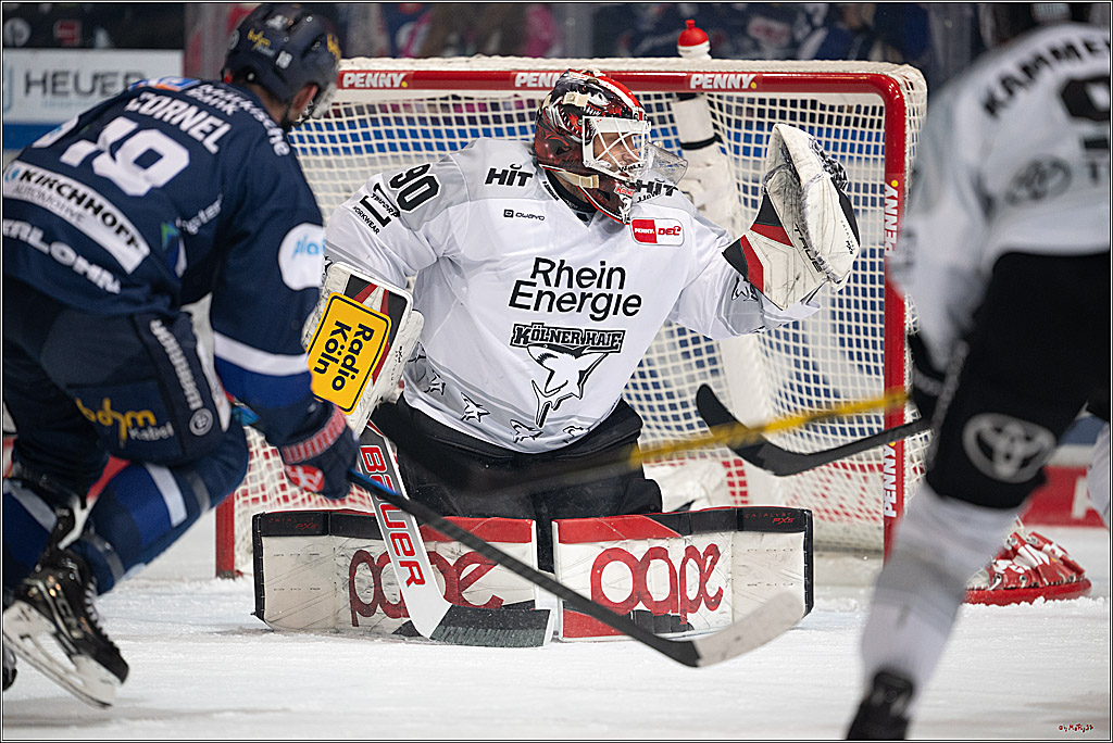 PENNY DEL: Iserlohn Roosters - Kölner Haie; Iserlohn, 30.12.2025