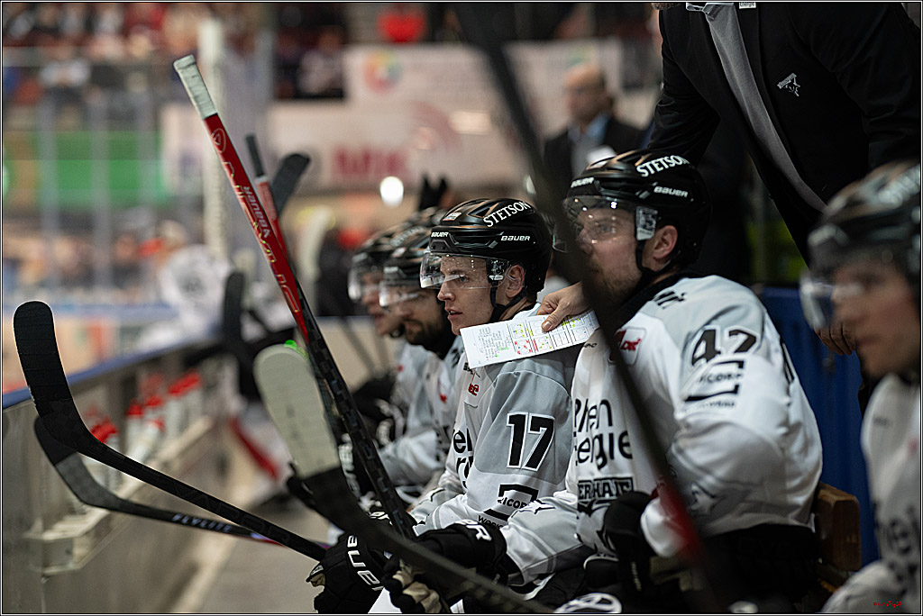 PENNY DEL: Iserlohn Roosters - Kölner Haie; Iserlohn, 30.12.2025
