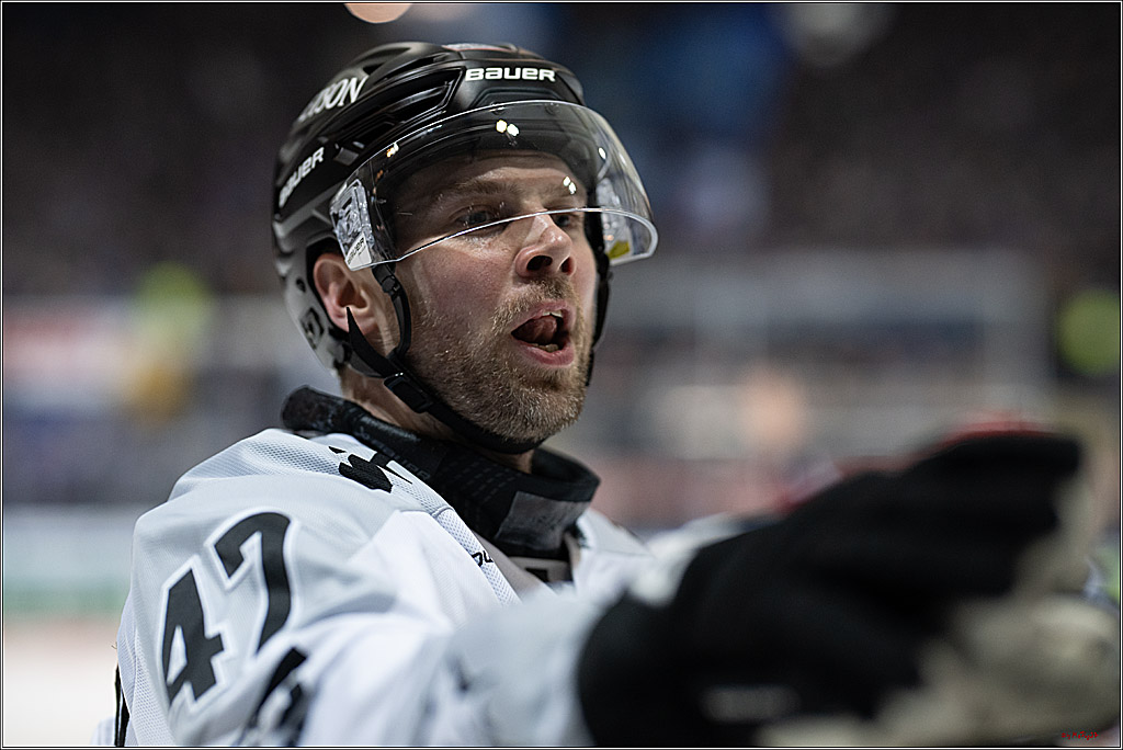 PENNY DEL: Iserlohn Roosters - Kölner Haie; Iserlohn, 30.12.2025